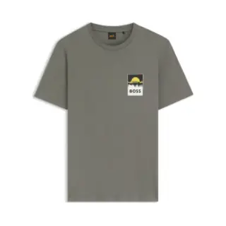 Boss For Man. 50556023 Plain T-shirt Grey (L), Casual, Cotton, Short Sleeve