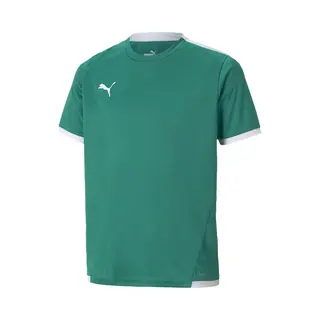Puma, Unisex, Sportief Shirt, TeamLIGA Jersey Jr-704925 (152), Groen, 152