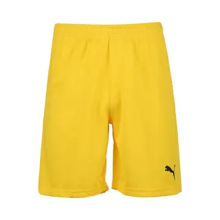Puma Sportshorts TeamRise