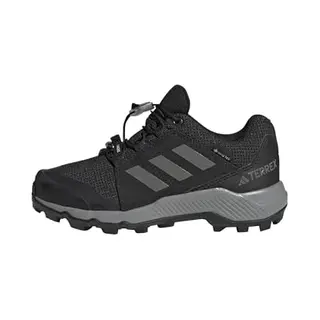 Adidas Terrex Lage Schoen 'Gore-Tex Hiking' Donkergrijs / Zwart