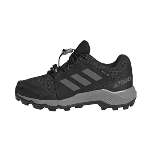 Adidas Terrex Lage Schoen 'Gore-Tex Hiking' Donkergrijs / Zwart thumbnail
