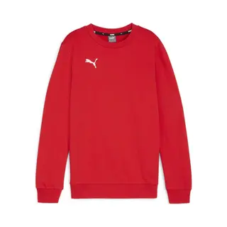 Puma, Jongens, Springer, TeamGOAL Casuals Crew Neck Sweat Jr, Rood, (128)