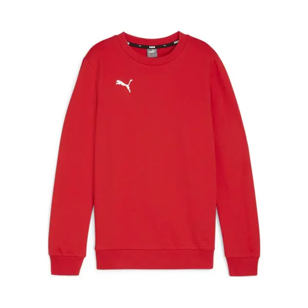 Puma, Jongens, Springer, TeamGOAL Casuals Crew Neck Sweat Jr, Rood, (128) thumbnail