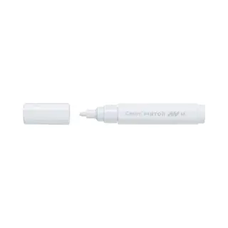 Pilot Pintor Wit