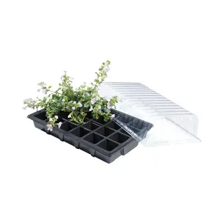 Floriculture holland Propagator Zaaitray Set Standaard