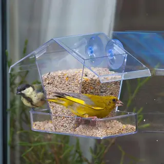 C J Wildlife Cj Wildlife Vogelvoederhuisje Raam Met Zuignappen - Aanbevolen Door Vogelbescherming Nederland - Raamvoederhuisje Transparant - Vogelhuisje Met