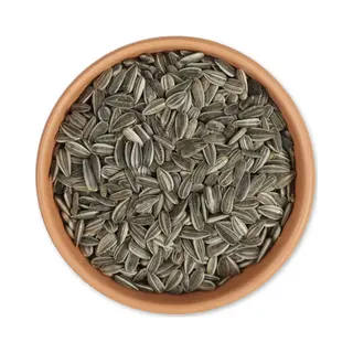 Gifts4Nature 20kg Gestreepte Zonnebloempitten Voor Vogels - Zonnepitten Voor Vogels - Vogelvoer Voor Buitenvogels - Tuinvogelvoer Voor Voedertafel Of