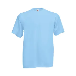 Fruit Of The Loom Heren Valueweight T-shirt Met Korte Mouwen (Hemel Blauw)