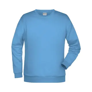 James & Nicholson James And Nicholson Heren Basis Sweatshirt (Hemelsblauw)