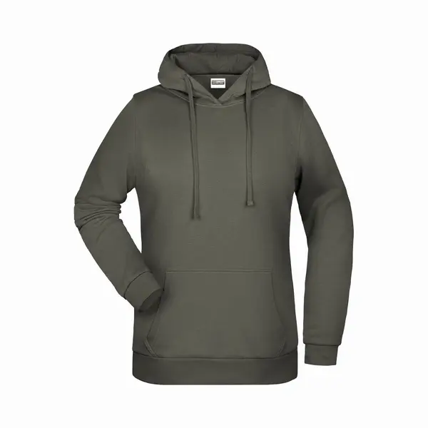 James & Nicholson James And Nicholson Vrouwen/dames Basic Hoodie (Donkergrijs) thumbnail