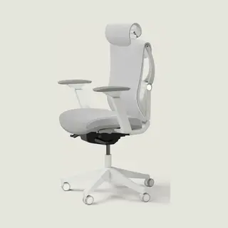 Desktronic Adjustable Ergonomic Office Desk Chair With Lumbar Support - Back-friendly/Back Pain-free - Computer Chair Height-Adjustable &