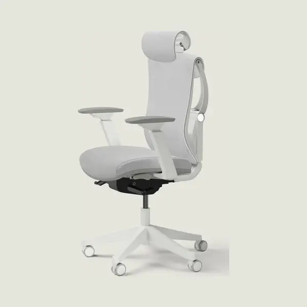 Desktronic Verstellbarer Ergonomischer Bürostuhl | Schreibtischstuhl Mit Lendenwirbelstütze - Rückenfreundlich- Computerstuhl Höhenverstellbar & thumbnail