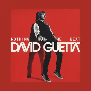 Warner Music Nothing But The Beat [Vinyl Lp]