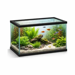 Flamingo Aquarium – Volglas Aquarium – 40x20x25cm – 17, 3L – Glas – Zwart Kunststof Frame – Europese Kwaliteit – Voor Alle Vissoorten – Binnen