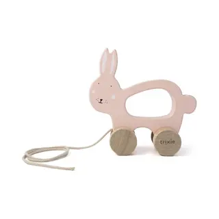 Trixie Baby 36-181 push & pull toy