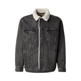 Levi'S ® Tussenjas Beige / Grijs