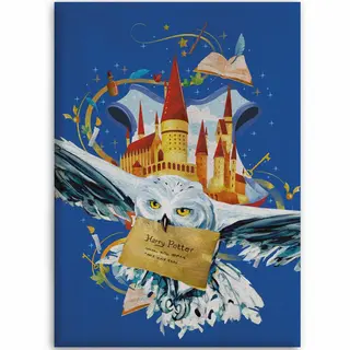 Harry Potter Fleecedekens Hedwig 110 X 140 Cm