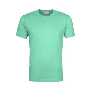 Colorful Standard T-shirt Faded Mint - Maat Xl - Heren