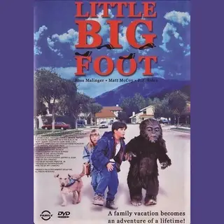 Little Big Foot