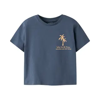 Name It - Nmmflom Ss Nreg Top - Jongens - T-shirts - Blauw - Maat 110