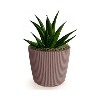 Prosperplast Plantenpot/bloempot Buckingham - Buiten/binnen - Design Kunststof - Terra Bruin - D34 X H30 Cm