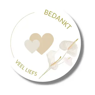 Bedank Stickers - Veel Liefs - 20 Stuks - 4 Cm - Voor Bedankjes
