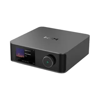 WiiM Amp Ultra 2.0 kanalen Multifunctioneel Grijs