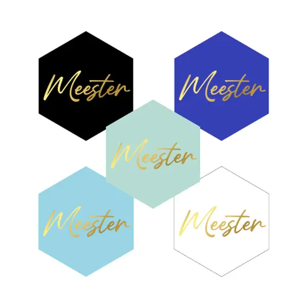 10x Meester Sluitstickers - Zeshoekig - Afscheid - Bedankje - 40 X 35 Mm - Goud Kleur - Traktatiesticker - Cadeausticker - Wensetiket Meester - thumbnail