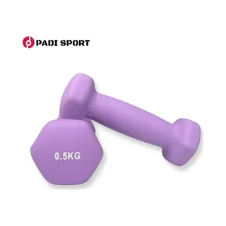 Padisport - Dumbells 0.5 Kg - Halter - Gewichten Set Halters - Gewichten 0.5 Kg - Paars - Gewichten - Dumbells - Halters - Gewichtjes 0.5 Kg