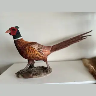 Goodyz- Wilde Dieren- Vogels - Fazanten - Fazanten Haan - Staand - Orginele Kleuren