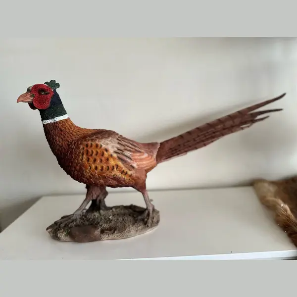 Goodyz- Wilde Dieren- Vogels - Fazanten - Fazanten Haan - Staand - Orginele Kleuren thumbnail