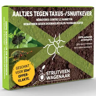 Strijtveen & Wagenaar Aaltjes Tegen Taxuskever En Snuitkever 10m² - Biologische Bodeminsecten Bestrijding - Taxuskever Bestrijden - Afweermiddelen