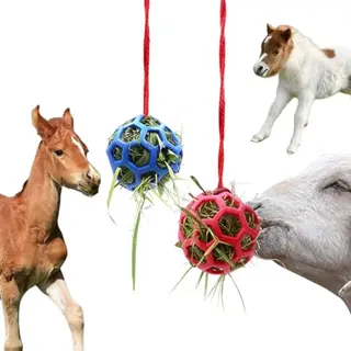 Paardenvoeder - Paardenspeelgoed 2 Stuks