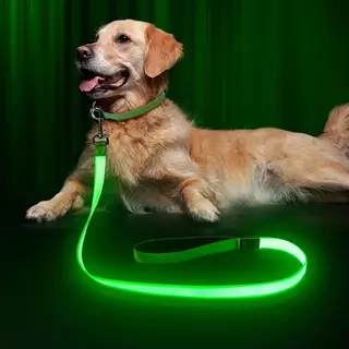 Hondenriem- Honden Riem- Led-hondenriem - 120 Cm Lichtgevende Hondenriem - Usb-oplaadbaar En Waterdicht - Reflecterende Nylon Riem Met Gevoerde