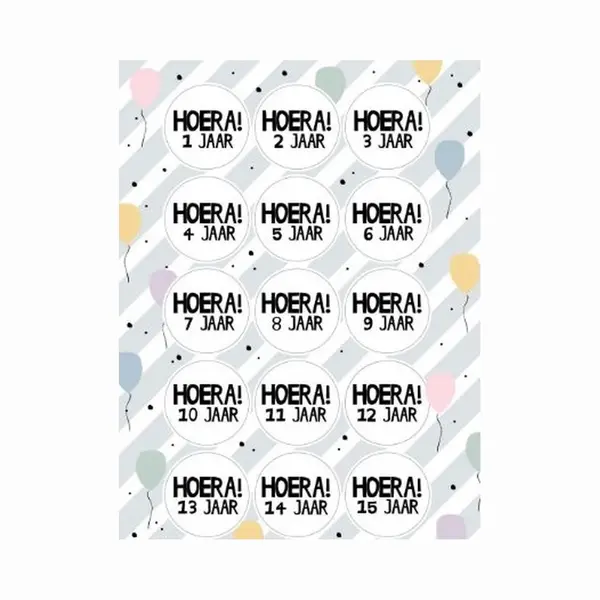 A5 Stickervel - Leeftijd Sticker - Leeftijden Hoera 1 T/m 15 Jaar - 15 Assorti - Sluitzegel - Jubileum - Zwart/ Wit - Envelop Sticker - Kaart - thumbnail