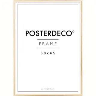 Fotolijst - Posterdeco - Premium Metaal - Fotomaat 30x45 Cm - Posterlijst - Fotolijstje - Goud