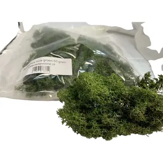 Rendiermos, Mos Mosgroen 50 Gram. Geschikt Voor Decoraties, Mosschilderijen, Moswanden, Bloemstukjes