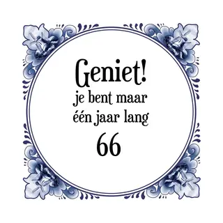 Merkloos ‘ Verjaardag Tegeltje Met Spreuk (66 Jaar, Geniet! Je Bent Maar één Jaar 66! + Cadeau Verpakking & Plakhanger