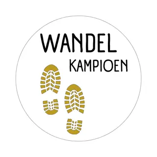 20 X Stickers Wandel Kampioen | Wandelen Vierdaagse Nijmegen | Avond4Daagse | Beloningsstickers Kinderen Volwassenen | 40 Mm