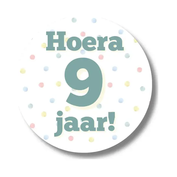 20 X Stickers Hoera 9 Jaar | Cadeaustickers Traktatiestickers | 9e Verjaardag Uitdelen Feest | 4 Cm thumbnail