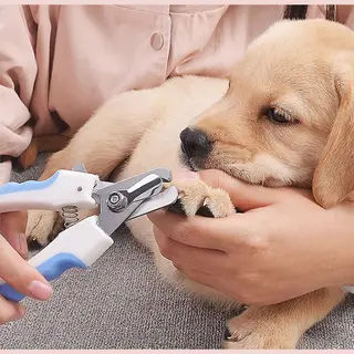 Nagelschaar - Nagelknipper - Geschikt Voor Alle Huisdieren - Blauw Wit