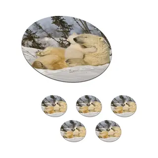 KitchenYeah Onderzetters Voor Glazen - Rond - IJsbeer - Sneeuw - Den - Jong - 10x10 Cm - Glasonderzetters - 6 Stuks