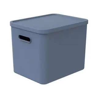 Rotho Albula Multibox 29.5x29x37 Cm 27L Horizon Blauw