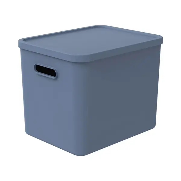 Rotho Albula Multibox 29.5x29x37 Cm 27L Horizon Blauw thumbnail