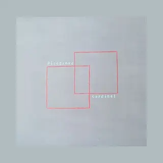 Run For Cover Cardinal [Lp]
