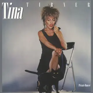 Warner Music Private Dancer (Lp)