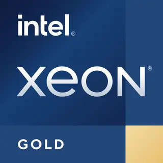 Intel Xeon Gold 6348 processor 2.6 GHz 42 Mb Tray