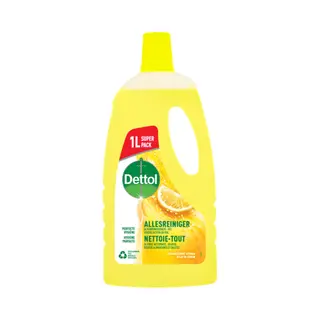 Dettol Allesreiniger Power&Fresh Citroen 1 Liter