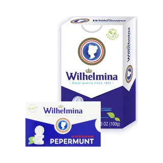 Fortuin Wilhelmina | Pepermunt | Vegan Liggend | 24 X 100 Gram