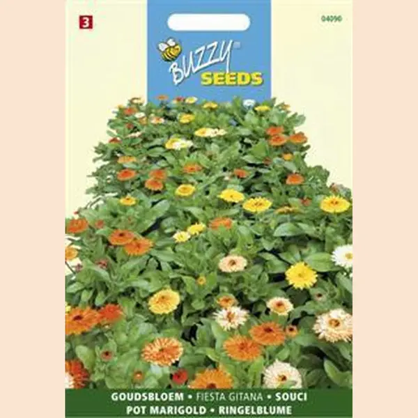 Buzzy Zaden Goudsbloem Fiesta Gitana thumbnail